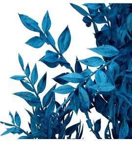 Ruscus fino preservado azul - RUSPREAZU