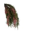 Falsa pimienta preservada ppf9103 - PPF9103-1-ARBOL-PIMIENTA