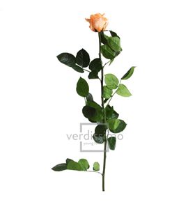 Rosa amorosa preservada estandar prz/1550 - PRZ1550-05-ROSA-TALLO-STANDARD