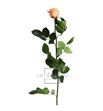 Rosa amorosa preservada estandar prz/1550 - PRZ1550-03-ROSA-TALLO-STANDARD
