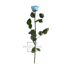 Rosa amorosa preservada granel prz/3640 - PRZ3640-03-ROSA-TALLO-STANDARD