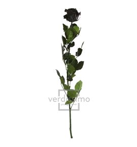 Rosa amorosa preservada granel prz/3990 - PRZ3990-03-ROSA-TALLO-STANDARD