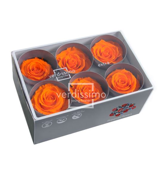 Rosa preservada standart 6 unid rst/2530 - RST253G-03-ROSA-STANDARD