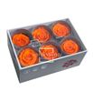 Rosa preservada standart 6 unid rst/2530 - RST253G-03-ROSA-STANDARD