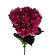 Hydr mag dark ruby 60 - HYDMAGDARRUB