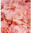 Hortensia preservada rosa suave - HORPREROSSUA1