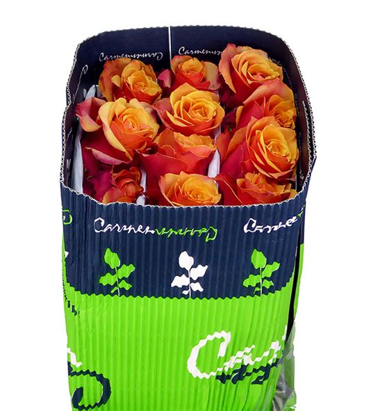 Rosa col cherry brandy 50 - RCCHEBRA