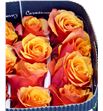 Rosa col cherry brandy 50 - RCCHEBRA1