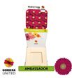 Gerbera ambassador 50 x15 - GERAMB5015