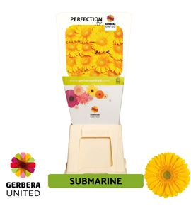 Gerbera submarine 50 x15 - GERSUB5015