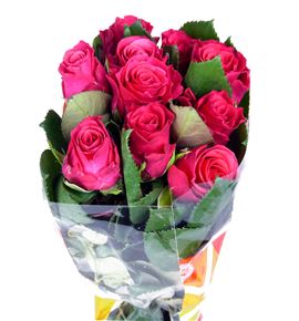 Rosa hol. tacazzi 50 - RGRTAC