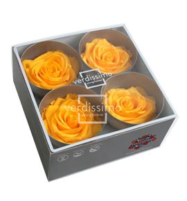 Rosa preservada premium 4 unid rsg/2350 - RSG2350-03-ROSA-PREMIUM