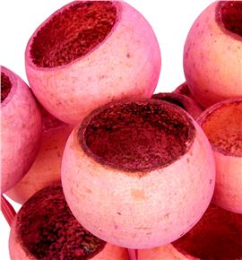 Bell cup seco rosa - BELCUPSECROS