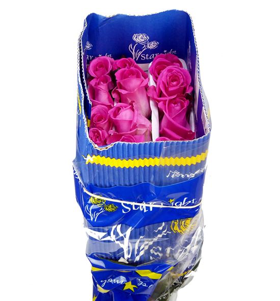 Rosa col daria 60 - RCDAR