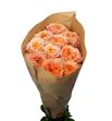 Rosa hol living coral 50 - RGRLIVCOR