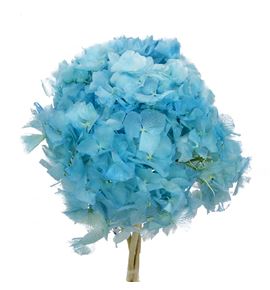 Hortensia preservada azul claro - HORPREAZUCLA