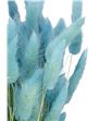 Lagurus preservado azul turquesa - LAGPREAZUTUR1