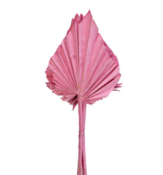 Palmito seco pintado rosa - PALSECPINROS