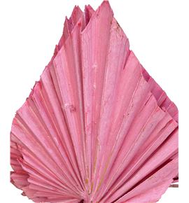 Palmito seco pintado rosa - PALSECPINROS