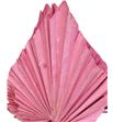 Palmito seco pintado rosa - PALSECPINROS1