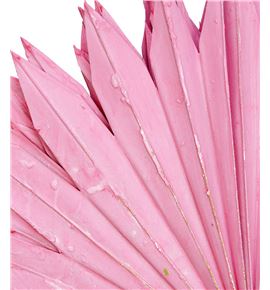 Palmito seco pintado rosa grande - PALSECPINROSG
