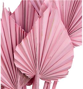 Palmito seco spear rosa claro 45cm - PALSPEROSCLA
