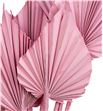 Palmito seco spear rosa claro 45cm - PALSPEROSCLA1