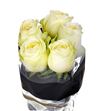 Rosa hol buttercup 60 - RGRBUT