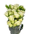 Rs ramificada snowflake 60 - RTRSNO