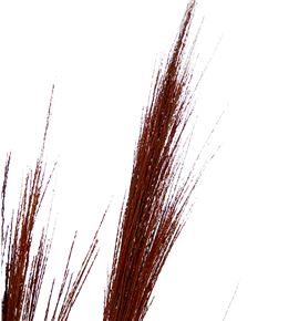 Broom graas seco orange - BROGRASECORA