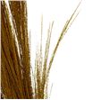 Broom graas seco yellow - BROGRASECYEL1