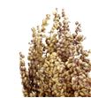 Briza seca natural - BRISECNAT1