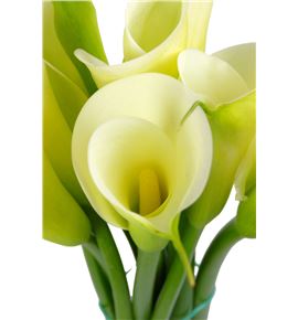 Cala blanca 90 - CALBLA