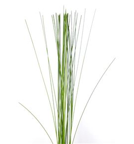 Flexigrass 90cm - FLE