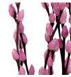 Salix wilgenkatjes rosa 70 - SALWILROS1