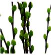 Salix wilgenkatjes verde 70 - SALWILVER1