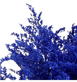 Solidago teñido azul oscuro 80 - SOLTENAZUOSC