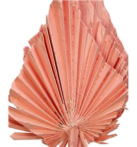 Palmito seco pintado rosa claro - PALSECPINROSC