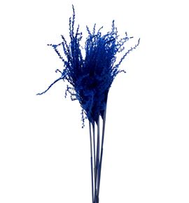 Miscanthus seco blue - MISSECBLU
