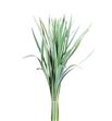 T-grass bic. - TGRABIC