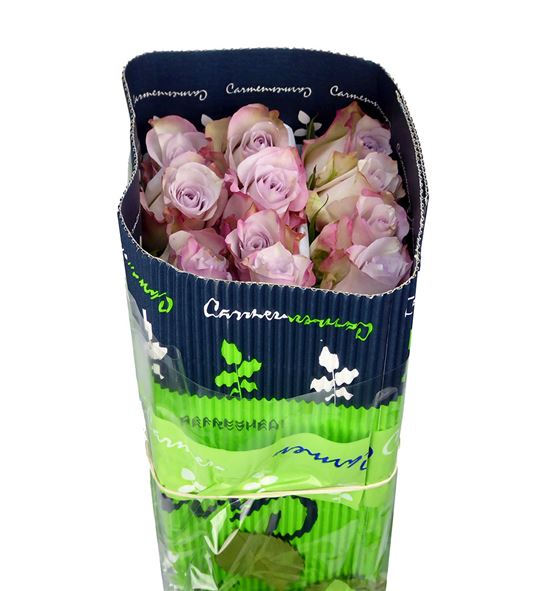 Rosa col deep silver 40 - RCDEESIL