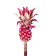 Ananas - ANA