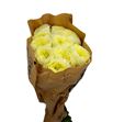 Rosa hol solsbury hill 60 - RGRSOLHIL