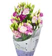 Lisianthus rosita hot lips 70 - LISROSHOTLIP