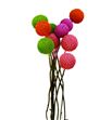 Craspedia teñido spring mixto 60 - CRATENSPRMIX