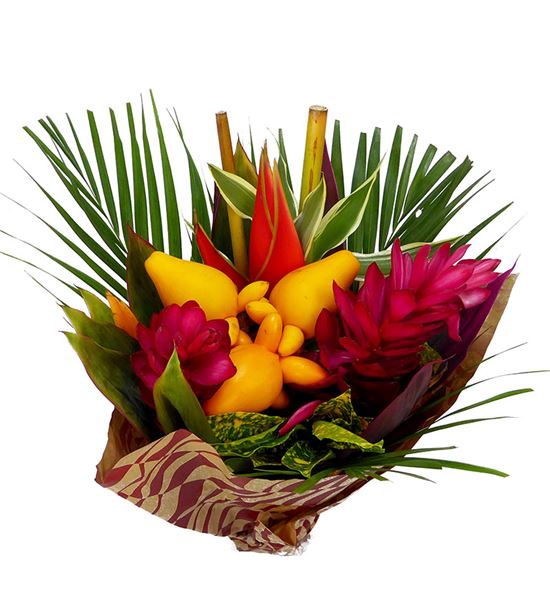 Heliconia bq solanum 50 - HELBQTSOL