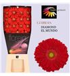 Gerbera el mundo 50 x15 - GERELMUN5015