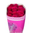 Rosa col queenberry 50 - RCQUE