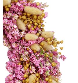 Corona delphinium pink 35 - CORDELPIN