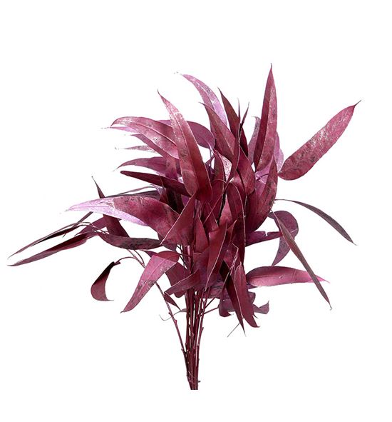 Victoria metallic rose - VICMETROS